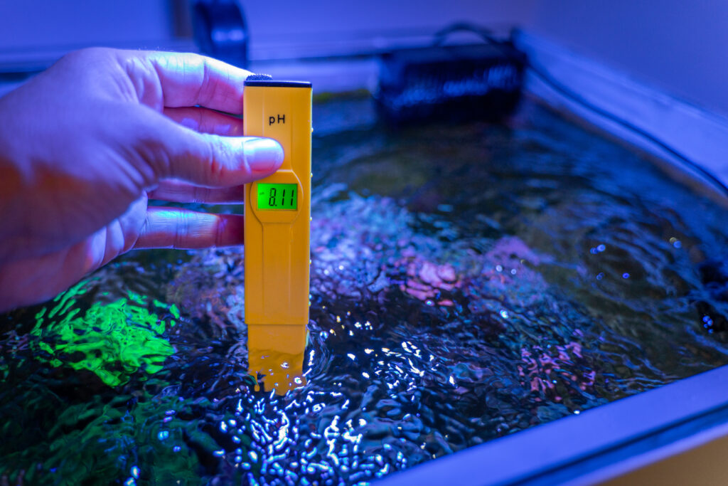 Picture of Aquarium Maintenance - Aquatic Reef Design Ocala