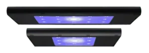AI Hydra Edge