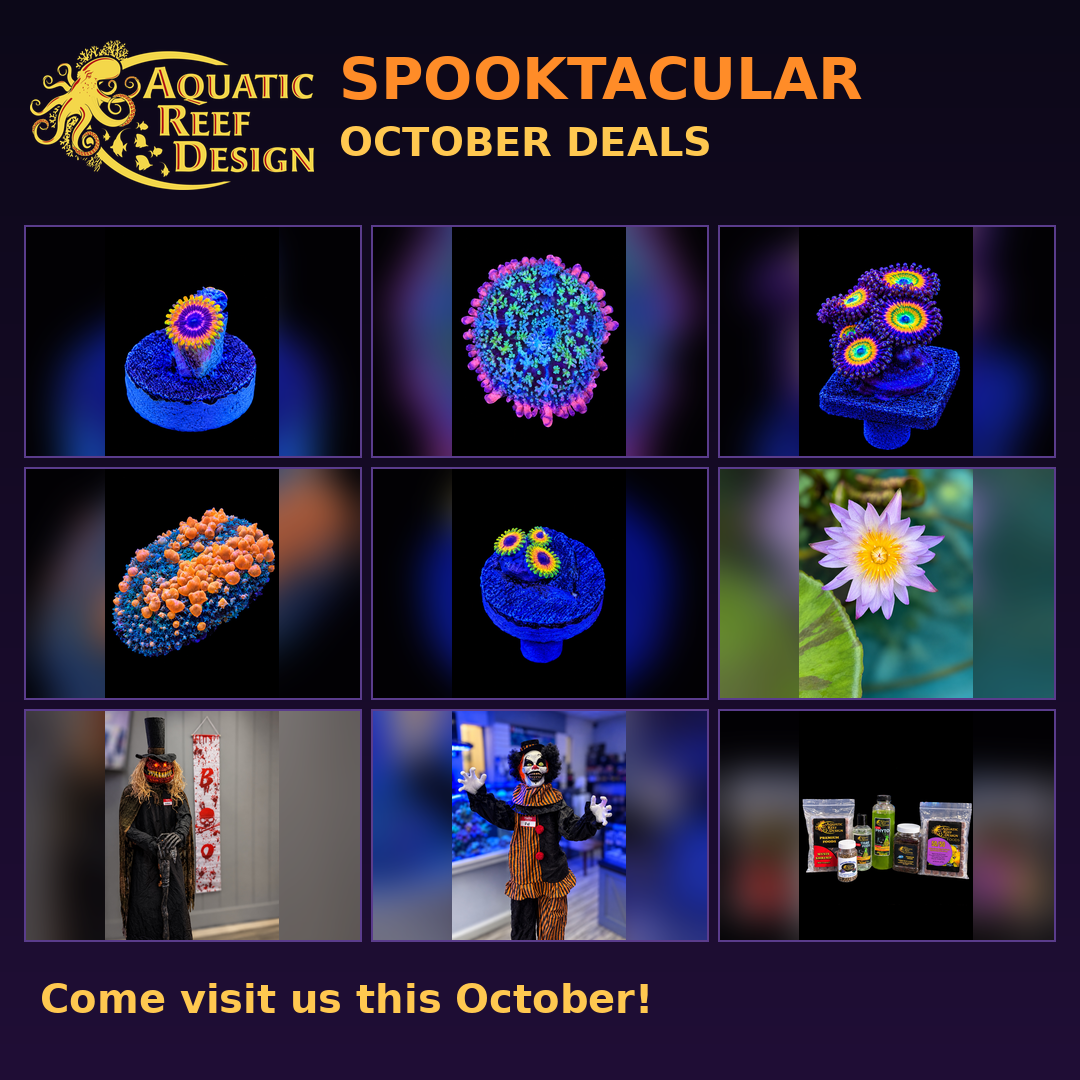 This Weekend: SPOOKtacular Deals at Aquatic Reef Design!👻 - Aquatic ...